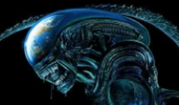 Кадры, подробности и знакомство с героями сериала «Чужой: Земля»